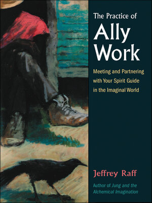 cover image of The Practice of Ally Work